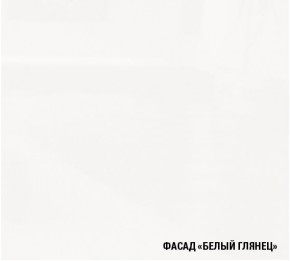 ТЕРЦИЯ Кухонный гарнитур Экстра 5 (3000 мм) в Кургане - kurgan.mebel-74.com | фото